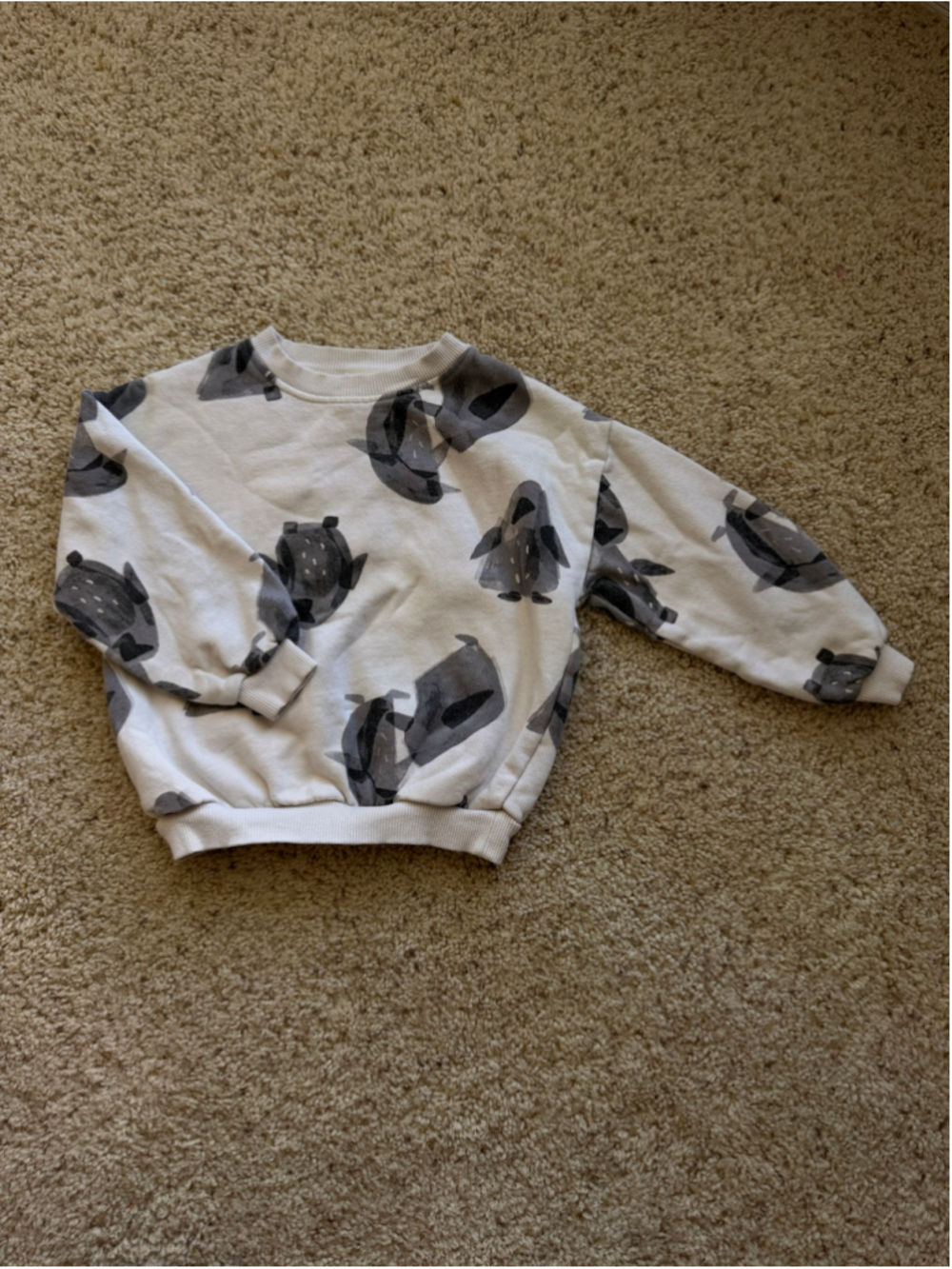 Kids Zara Penguin Print Sweatshirt White Grey Size 4